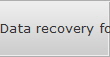 Data recovery for Dale City data